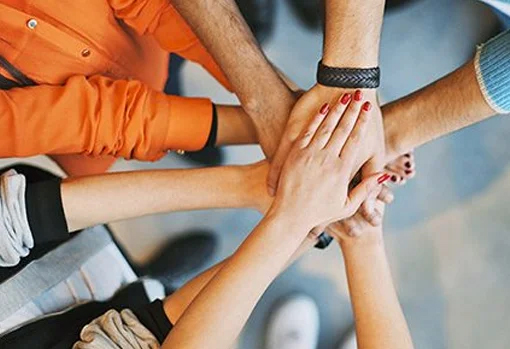 IQ Minds Educational Society