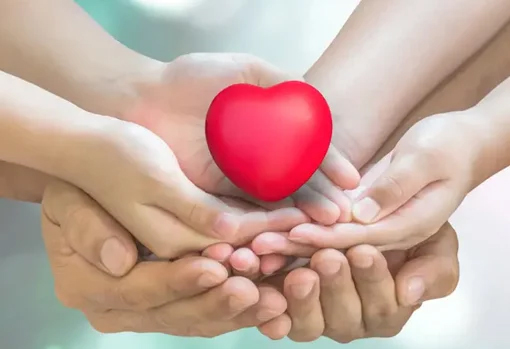 IQ Minds Educational Society