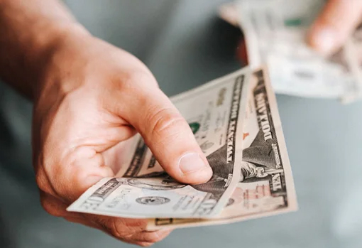 IQ Minds Educational Society