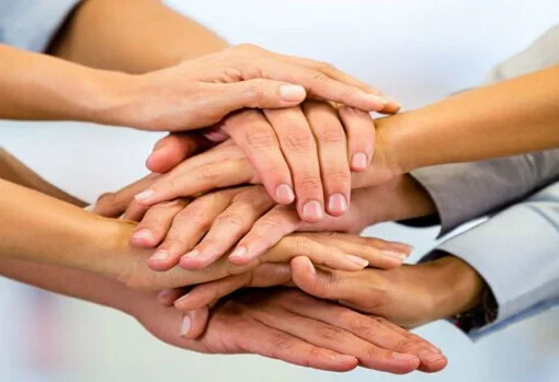 IQ Minds Educational Society